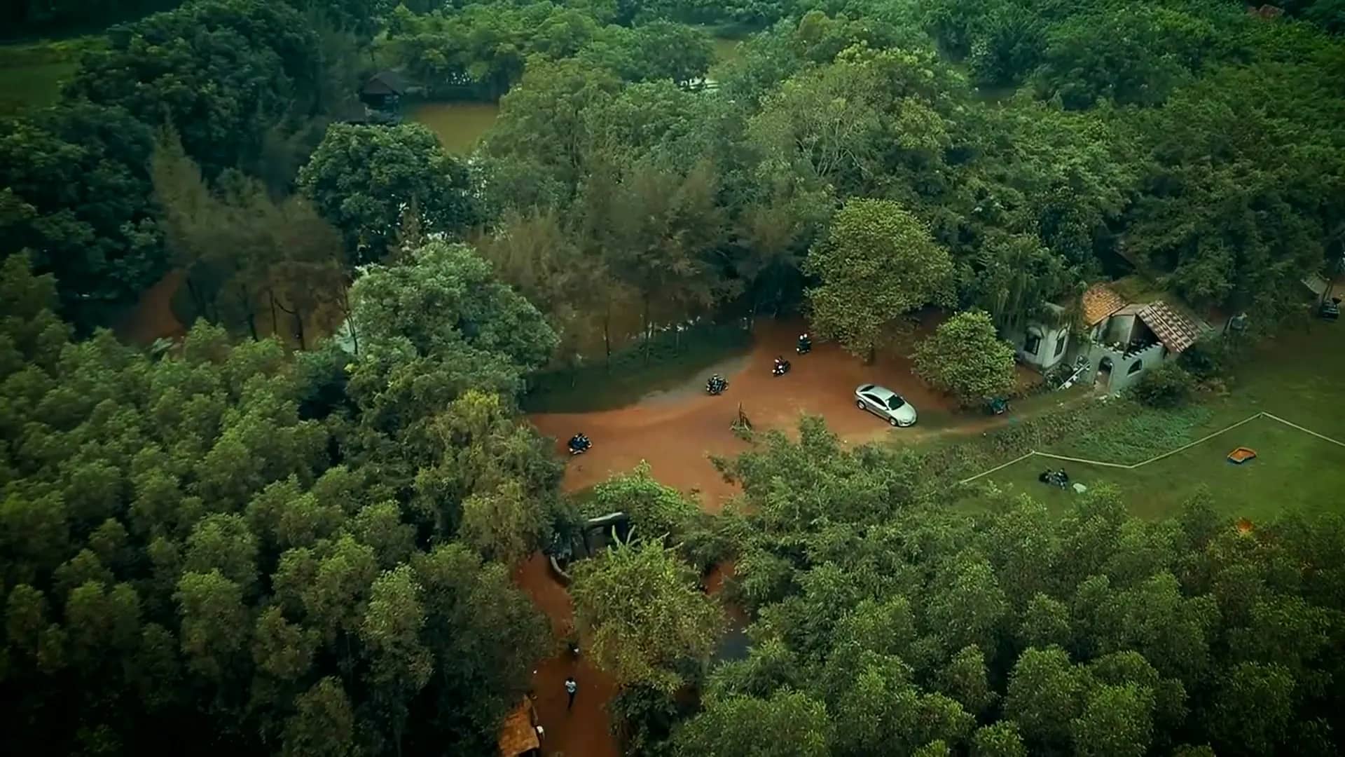 Rừng, zipline, thả diều và tháp đuốc (video nền hoạt động)
